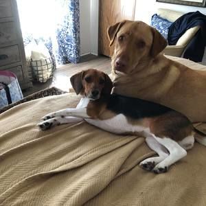 Meet your Posher, Camden